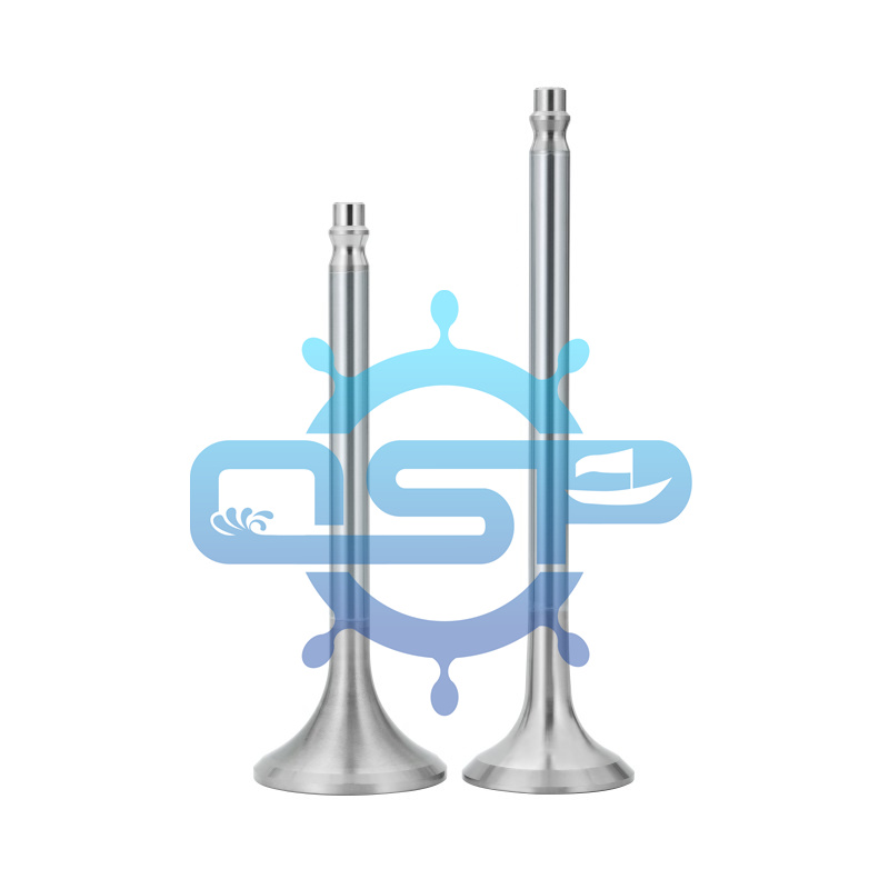 D49 locomotive engine valves