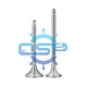 Russia Locomotive engine D49 engine valves